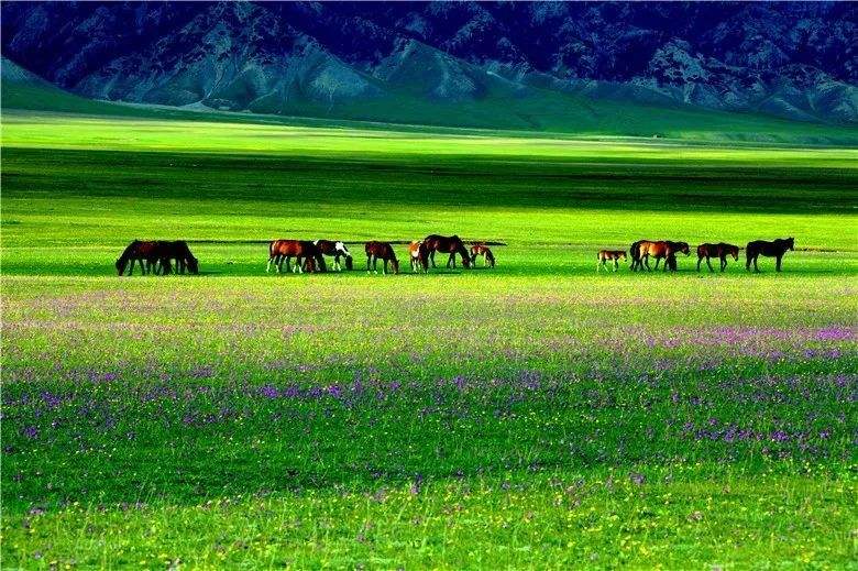 中國氣象局：22個(gè)市縣獲評(píng)國家氣候標(biāo)志