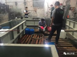 佛山三級環(huán)保加公安部門聯(lián)合執(zhí)法查處南海2家污企，七人被帶走調(diào)查