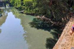 萬(wàn)江：河涌現(xiàn)“綠水”，偷排企業(yè)被查處！